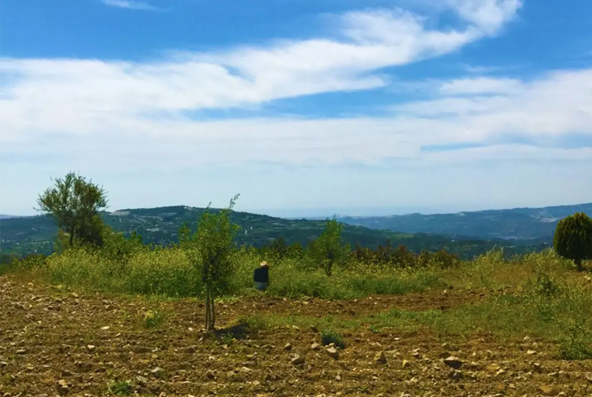 Agricultural land for sale in Lageia Larnaca (6) Agricultural land for sale in Lageia Larnaca