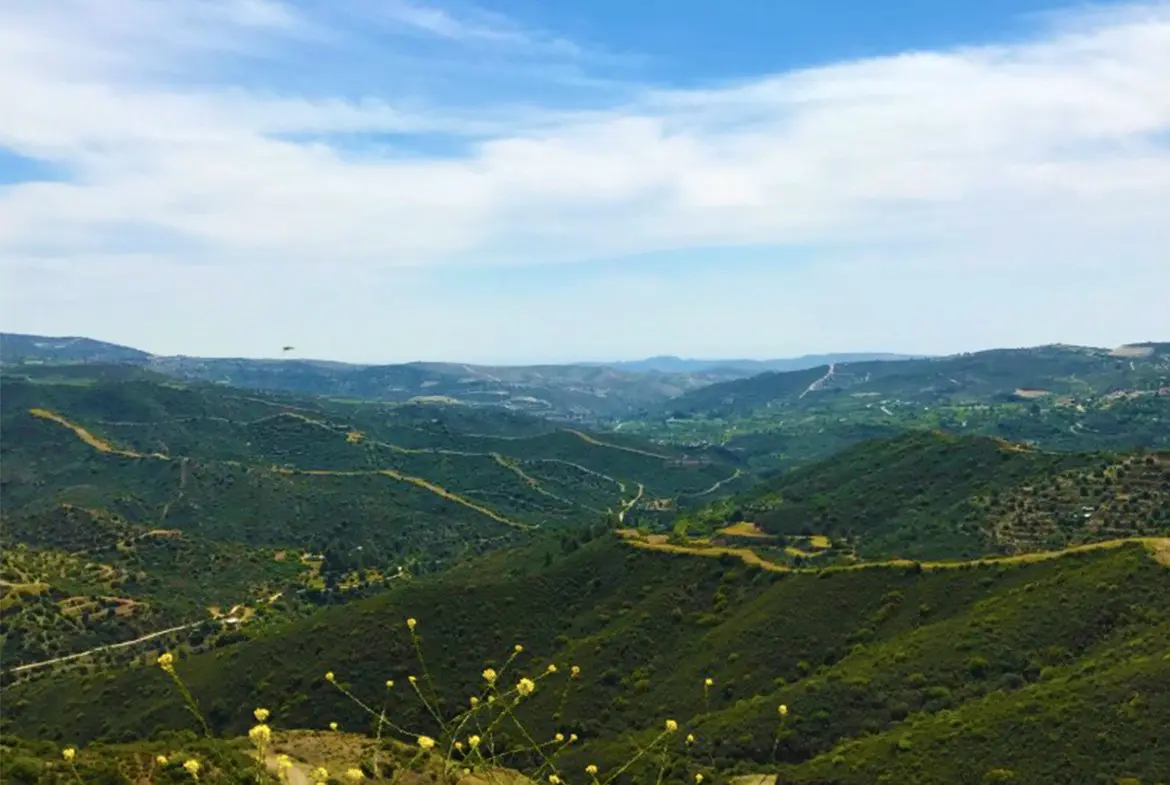 Agricultural land for sale in Lageia Larnaca (8) Agricultural land for sale in Lageia Larnaca