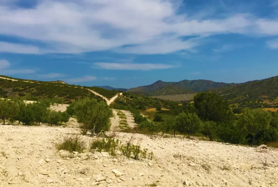 Agricultural land for sale in Pano Lefkara (1) Agricultural land for sale in Pano Lefkara