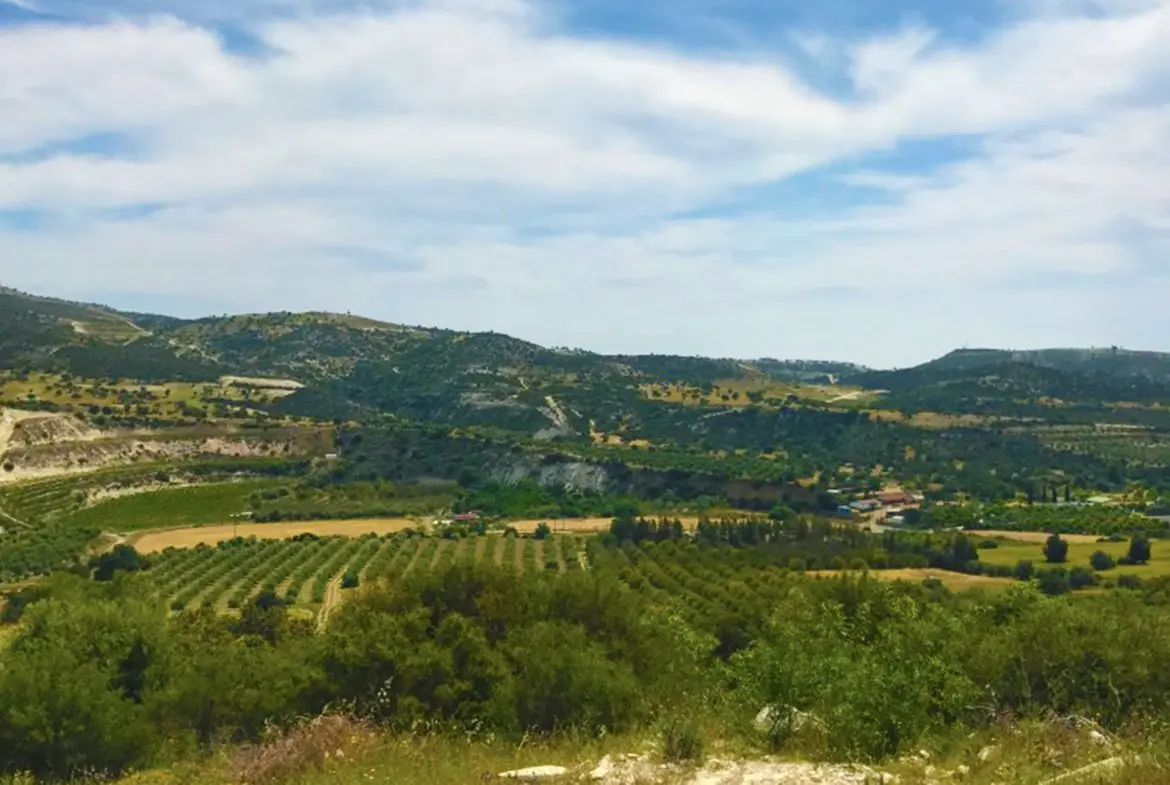 Agricultural land for sale in Pano Lefkara (2) Agricultural land for sale in Pano Lefkara