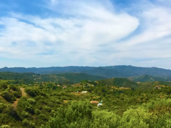 Agricultural land for sale in Pano Lefkara