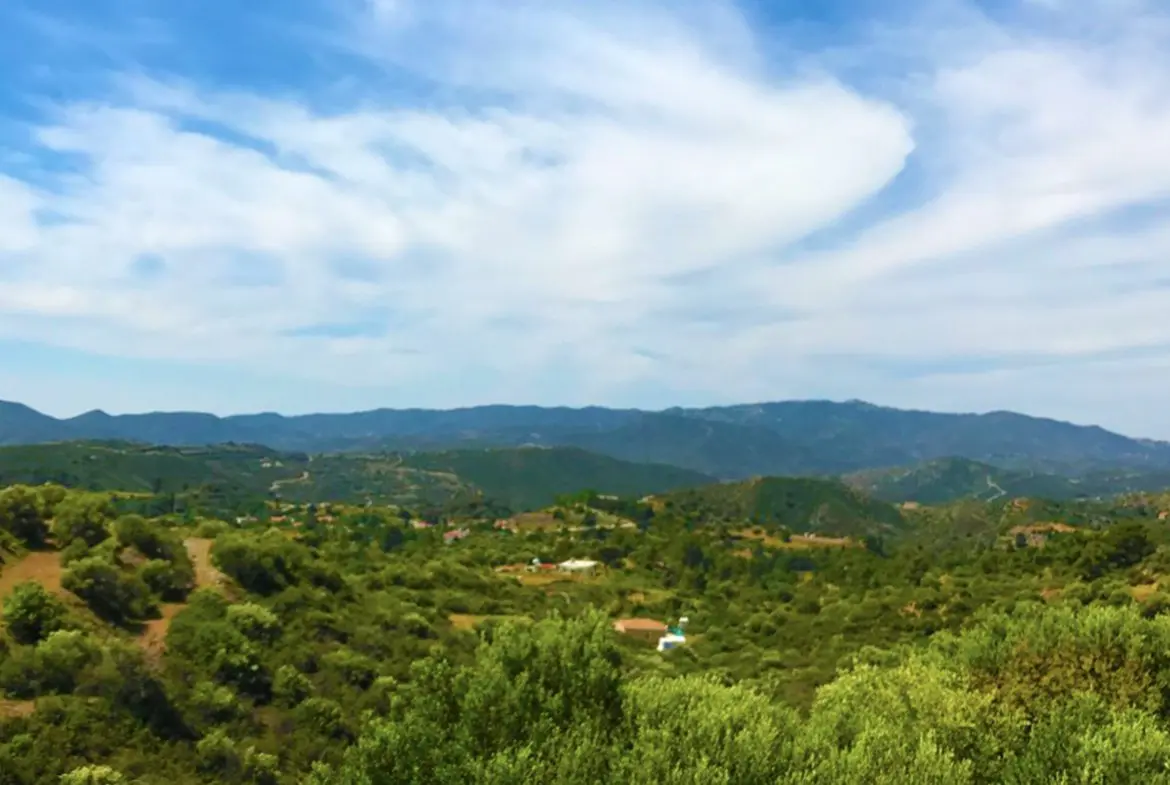 Agricultural land for sale in Pano Lefkara (4) Agricultural land for sale in Pano Lefkara