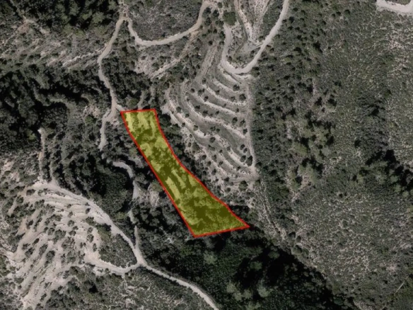Agricultural land for sale in Pano Lefkara