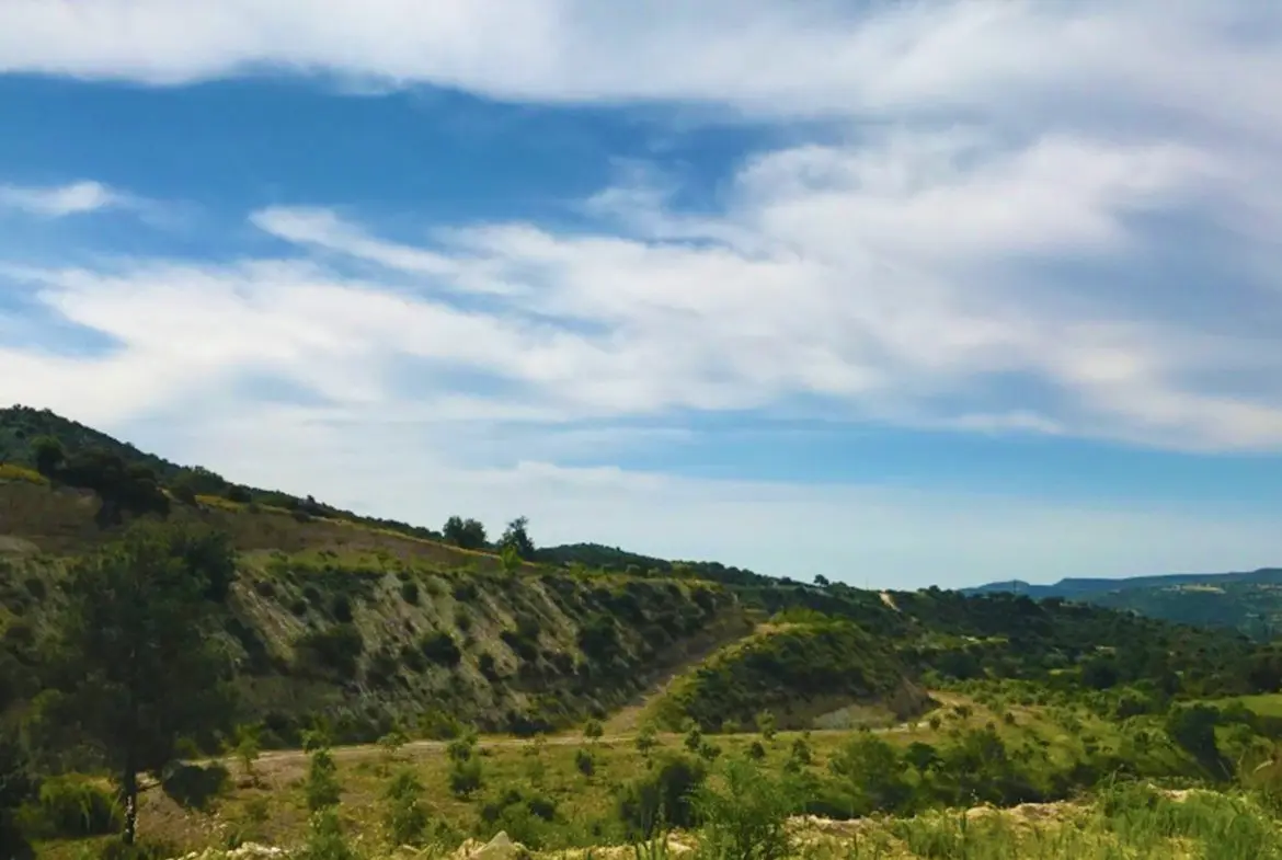 Agricultural land for sale in Skarinou (1) Agricultural land for sale in Skarinou