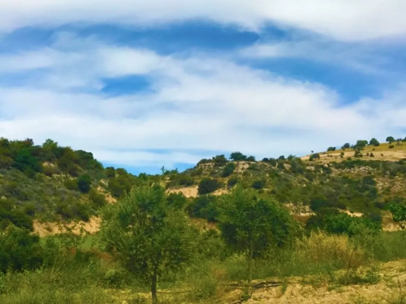 Agricultural land for sale in Skarinou