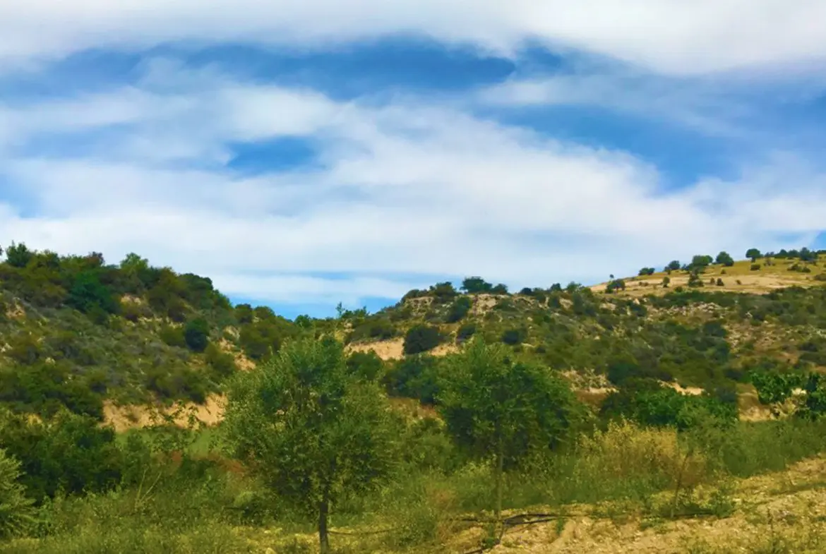 Agricultural land for sale in Skarinou (5) Agricultural land for sale in Skarinou