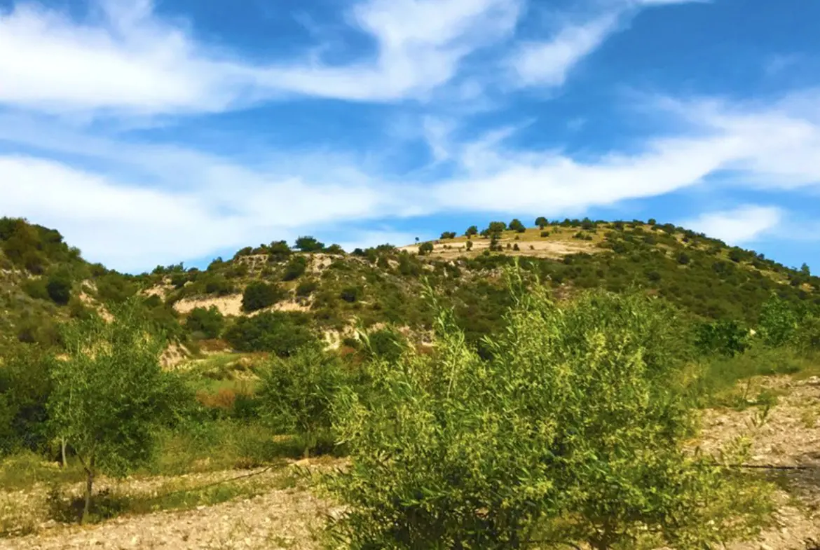 Agricultural land for sale in Skarinou (7) Agricultural land for sale in Skarinou