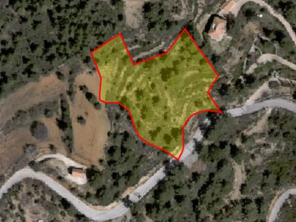 Agricultural land for sale in Vavatsinia