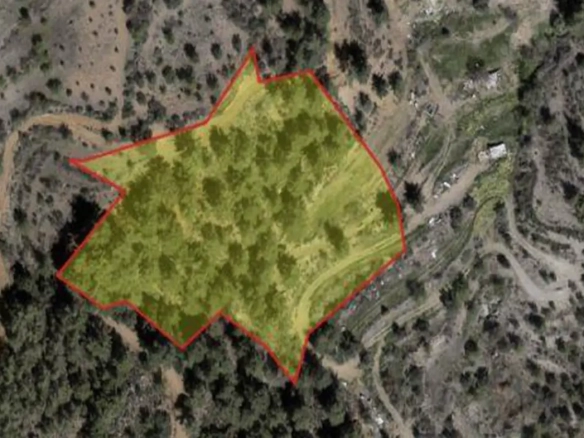Agricultural land for sale in the pine forest of Vavatsinia