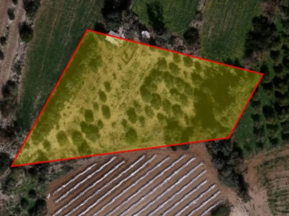 Agricultural land in Agios Theodoros
