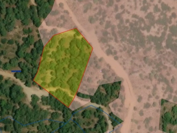 Land for sale in Vavatsinia